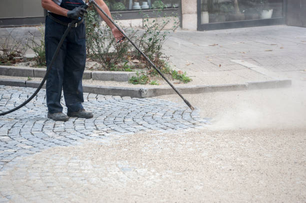 Animal Enclosure Cleaning in Lake Station, IN